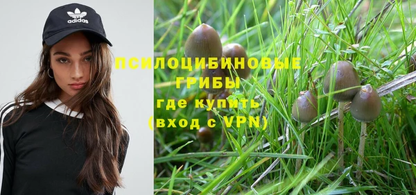 круглые Карпинск