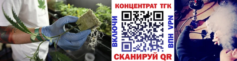 hydra как войти  Фокино  Дистиллят ТГК THC oil  купить наркоту 