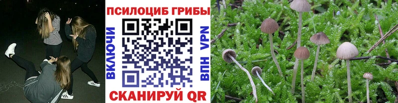 сайты даркнета какой сайт  Фокино  Галлюциногенные грибы Psilocybine cubensis  MEGA ONION 